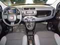 Fiat Panda 1.3 MJT S&S Easy Van 4 posti Blanc - thumbnail 12
