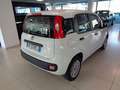 Fiat Panda 1.3 MJT S&S Easy Van 4 posti Bianco - thumbnail 5