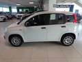 Fiat Panda 1.3 MJT S&S Easy Van 4 posti Blanc - thumbnail 6