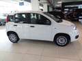 Fiat Panda 1.3 MJT S&S Easy Van 4 posti Blanc - thumbnail 3