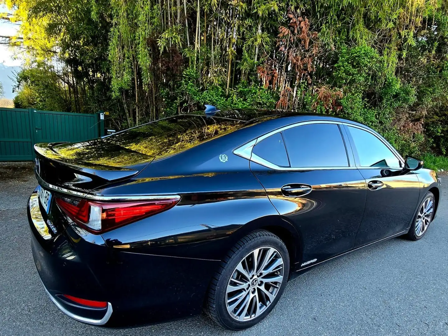 Lexus ES 300 300h Luxe crna - 2