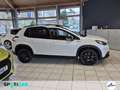 Peugeot 2008 Allure 1.2 PureTech 130 Navi+Pano+SD+SHZ+LM Weiß - thumbnail 4