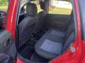 Ford Fiesta 1.2, DISTRIBUZIONE FATTA, gomme nuove. - thumbnail 5