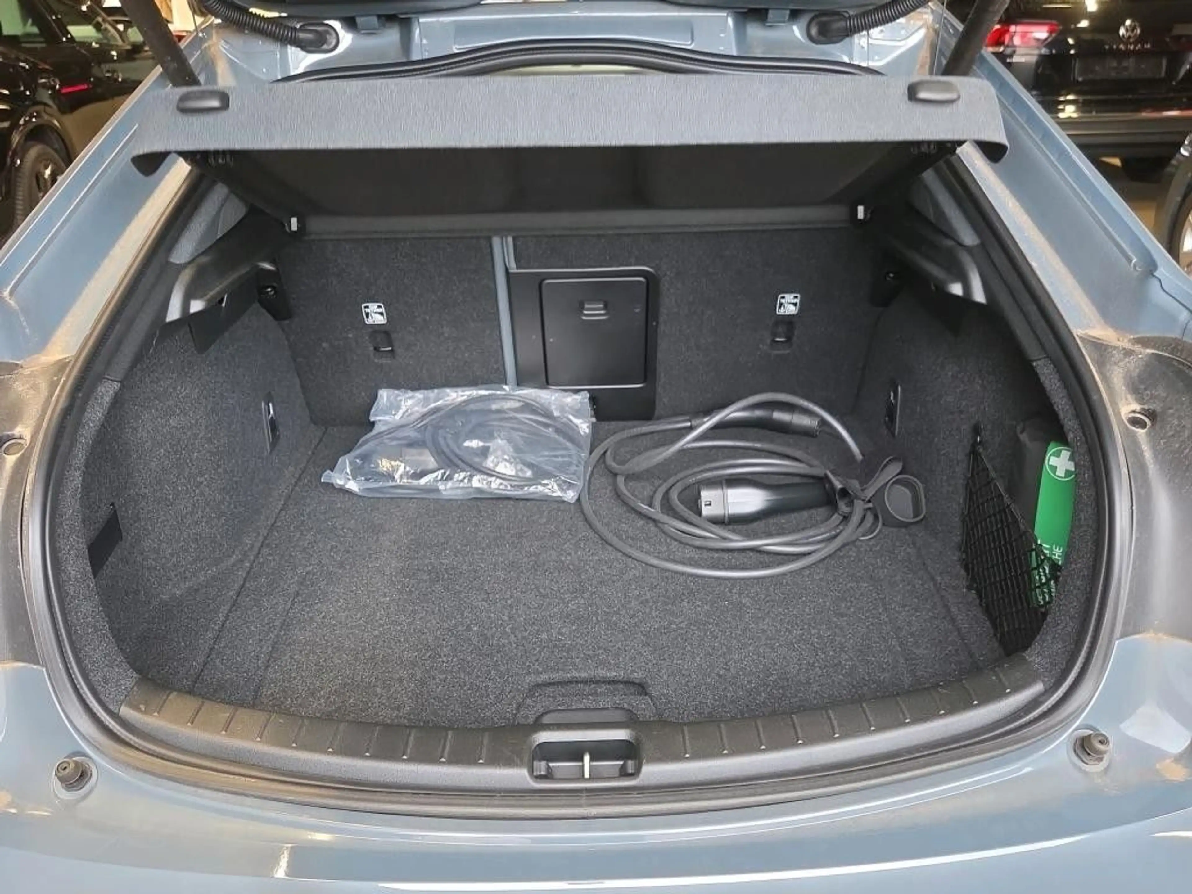 Polestar 2 Long Range Dual Pilot Plus-Paket LED Pano WP — photo 7