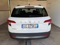 Skoda Karoq 2.0 TDI EVO SCR 115 CV DSG Style PREZZO REALE Blanc - thumbnail 5