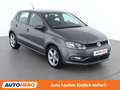Volkswagen Polo 1.4 TDI Comfortline BlueMotion Tech Grau - thumbnail 8