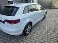 Audi A3 A3 SB Daylight 1,6 TDI Daylight Weiß - thumbnail 6