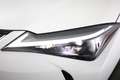 Lexus UX 250h UX Hybrid Urban Bianco - thumbnail 13
