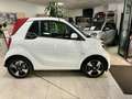 smart forTwo EQ cabrio Passion 22kW Wit - thumbnail 2