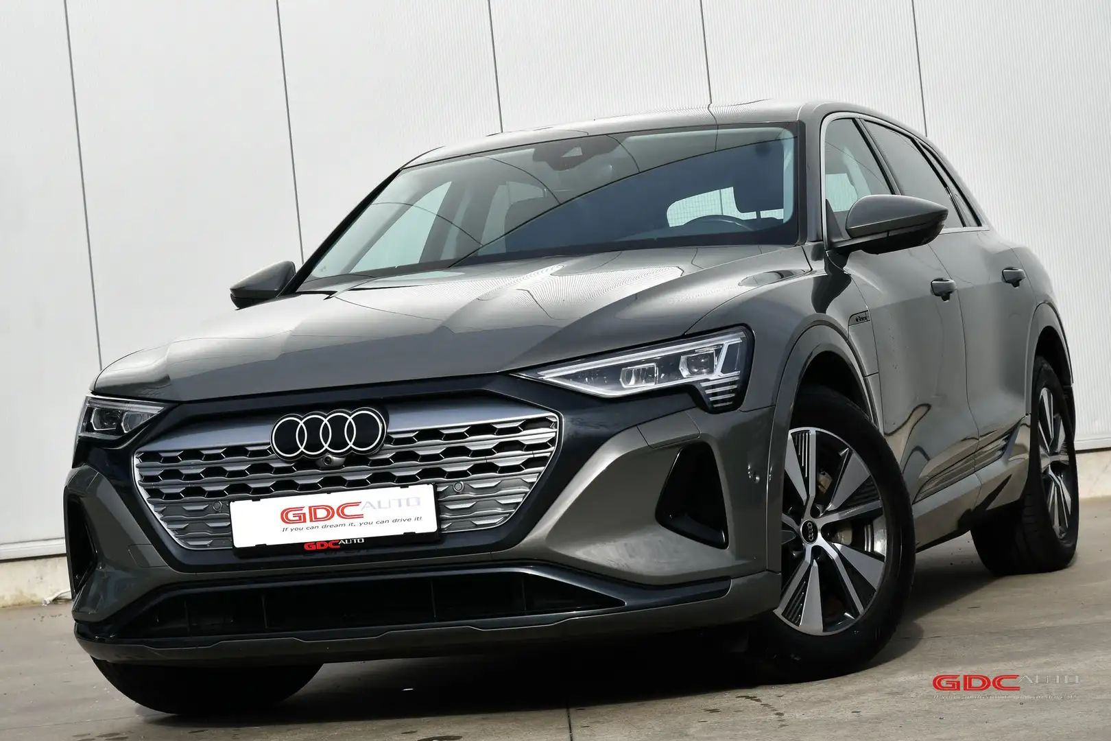 Audi Q8 e-tron Q8 e-tron 55 quattro advanced - 2