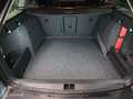 Skoda Octavia Combi 1.6 TDI Greentech Edition Businessline Gris - thumbnail 22