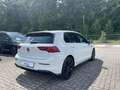 Volkswagen Golf R -line TSi Navi Matrix Kamera ACC R-Line Blanc - thumbnail 4
