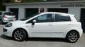 Fiat Punto Evo Race 1,4 *PICKERL NEU 6/2027*1.BESITZ* Weiß - thumbnail 13