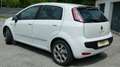Fiat Punto Evo Race 1,4 *PICKERL NEU 6/2027*1.BESITZ* Weiß - thumbnail 12