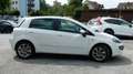 Fiat Punto Evo Race 1,4 *PICKERL NEU 6/2027*1.BESITZ* Weiß - thumbnail 9
