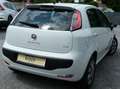 Fiat Punto Evo Race 1,4 *PICKERL NEU 6/2027*1.BESITZ* Weiß - thumbnail 11