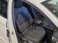 CUPRA Leon Alpha 1.5 eTSI DSG 150 PS ACT Weiß - thumbnail 13