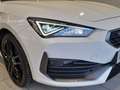 CUPRA Leon Alpha 1.5 eTSI DSG 150 PS ACT Weiß - thumbnail 6