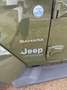 Jeep Wrangler Sahara ibrida Verde - thumbnail 6