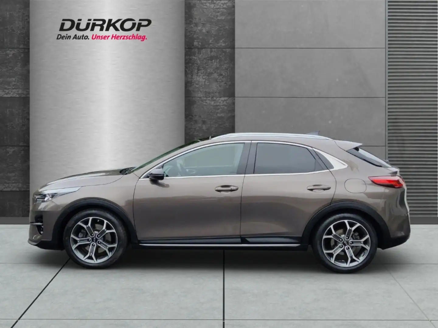 Kia XCeed 1.6 T-GDI Platinum Edition 7-DCT Voll-LED Brun - 2