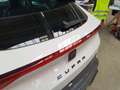 CUPRA Formentor 1.4 e-Hybrid DSG RFK*PDC*Tempo*Klima Weiß - thumbnail 23