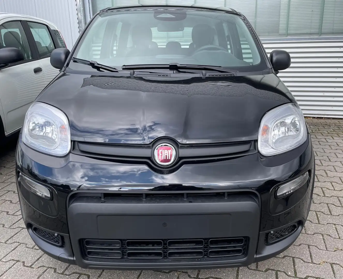 Fiat Panda Panda Hybrid Schwarz - 1