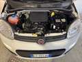 Fiat Panda Pandina 1.0 firefly hybrid s&s 70cv Blanco - thumbnail 15