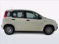 Fiat Panda Pandina 1.0 firefly hybrid s&s 70cv Blanco - thumbnail 4