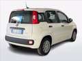 Fiat Panda Pandina 1.0 firefly hybrid s&s 70cv Blanco - thumbnail 2