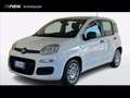 Fiat Panda Pandina 1.0 firefly hybrid s&s 70cv Blanco - thumbnail 1