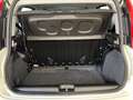 Fiat Panda Pandina 1.0 firefly hybrid s&s 70cv Blanco - thumbnail 9