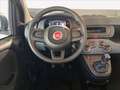 Fiat Panda Pandina 1.0 firefly hybrid s&s 70cv Blanco - thumbnail 7