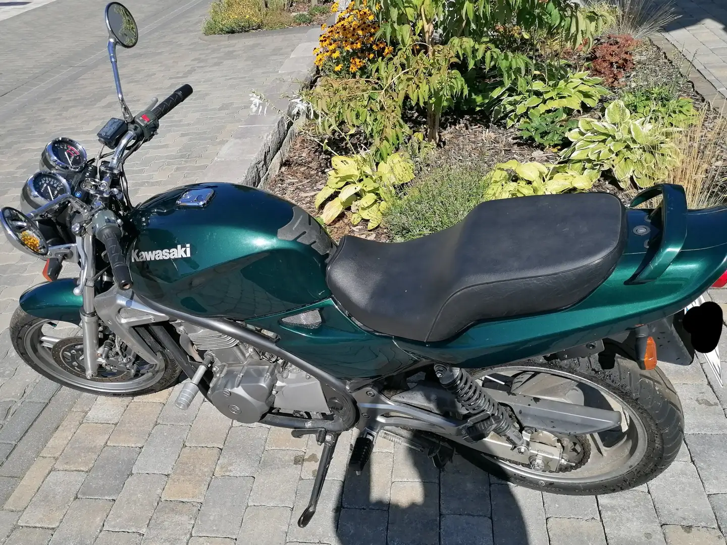 Kawasaki ER - 5 Vert - 1