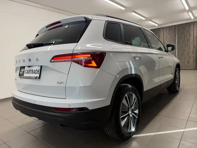 Skoda Karoq view 5
