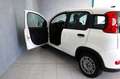 Fiat Panda 1.0 FireFly S&S Hybrid PREZZO REALE Bianco - thumbnail 6