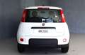 Fiat Panda 1.0 FireFly S&S Hybrid PREZZO REALE Bianco - thumbnail 4