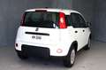 Fiat Panda 1.0 FireFly S&S Hybrid PREZZO REALE Bianco - thumbnail 3