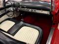 Ford Thunderbird Cabriolet 4800cc de 1955 *** Papier Belge *** Rood - thumbnail 17