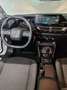 Citroen C4 1.2 130cv You + Car Play + PDC post Blanc - thumbnail 14