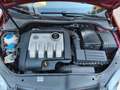 Volkswagen Golf Golf 1.9 TDI Trendline Rojo - thumbnail 7