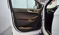 Ford Edge Edge 2,0 EcoBlue SCR 4x4 ST-Line Aut. ST-Line Weiß - thumbnail 11