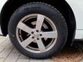 Ford Edge Edge 2,0 EcoBlue SCR 4x4 ST-Line Aut. ST-Line Weiß - thumbnail 15