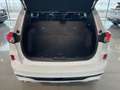 Ford Kuga 1.5 ecoboost ST-Line 2wd 150cv *PREZZO REALE* Wit - thumbnail 14