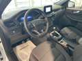 Ford Kuga 1.5 ecoboost ST-Line 2wd 150cv *PREZZO REALE* Wit - thumbnail 10