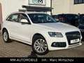 Audi Q5 2.0 TDI quattro S-tronic-1.HAND-NAVI-XEN-SHZ Weiß - thumbnail 1