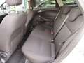 Ford Focus 1.0 Titanium Edition Airco Cruise 2014 Grau - thumbnail 11