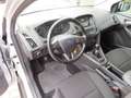 Ford Focus 1.0 Titanium Edition Airco Cruise 2014 Grau - thumbnail 8