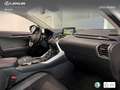 Lexus NX 300 300h Luxury 4WD Wit - thumbnail 6