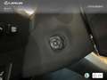 Lexus NX 300 300h Luxury 4WD Wit - thumbnail 24