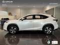 Lexus NX 300 300h Luxury 4WD Wit - thumbnail 13